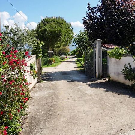 Villa La Staccionata Arpino Exterior foto